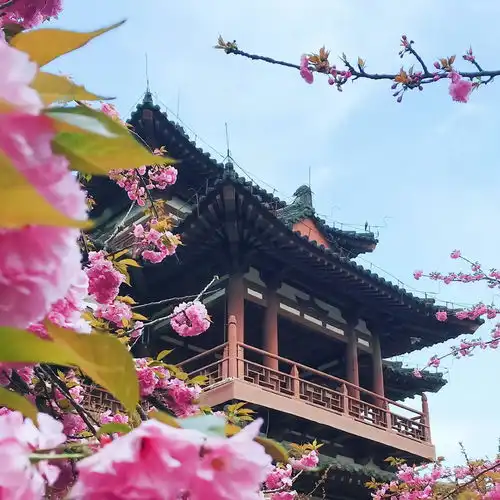 2023最新繁花似锦风景头像
