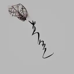 你的名字,一叶一花的姓氏46