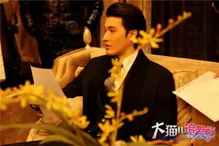 大猫儿首播获赞海清为角色扮嫩不惧吐槽