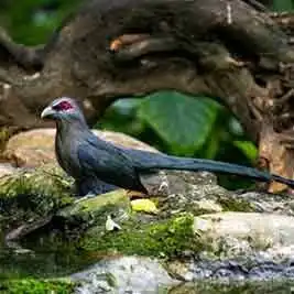 广西手机报5月15日下午版