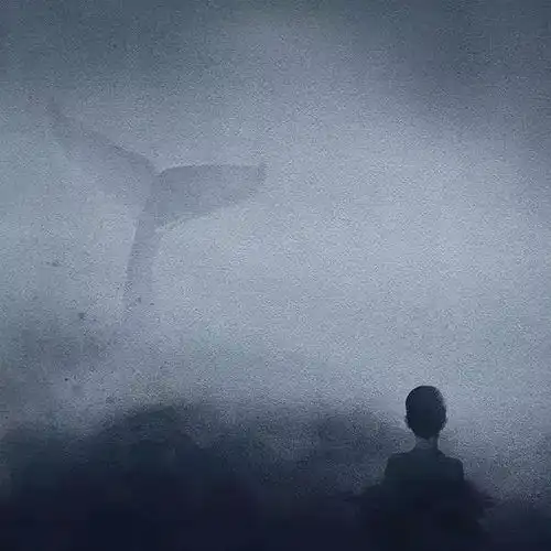 她的插画中,只有黑白两种颜色