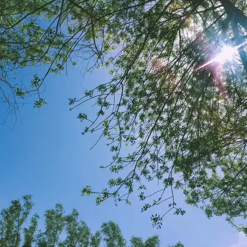 夏季,白癜风患者如何科学避暑
