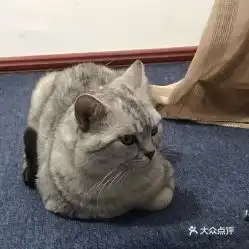 电话,地址,价格,营业时间西安休闲娱乐