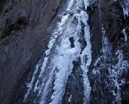 惊喜下雪了福建多地解锁雪景模式