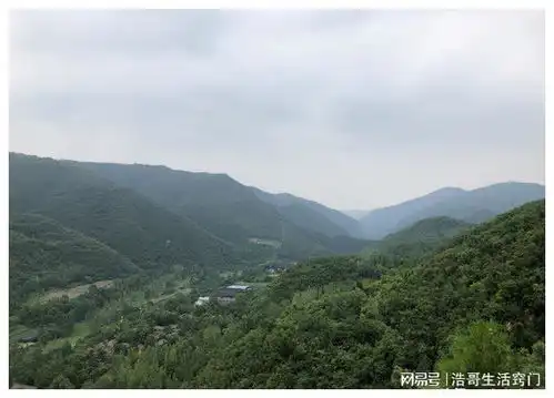 今日重阳,下雨好吗俗语重阳不见阳,老牛不相送,啥意思