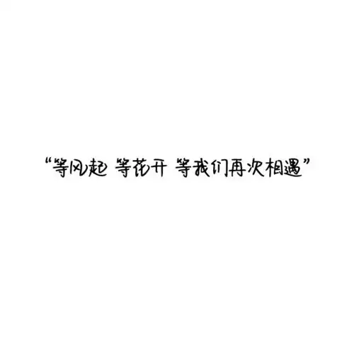 总有人用心,总有人浪漫纯色文案背景图