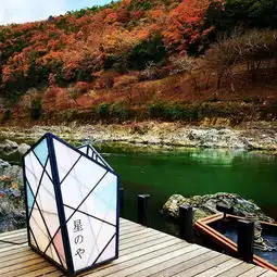 迷倒王鸥的星野到底有何魅力