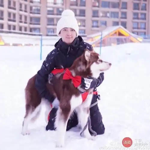 思聪5万红包算什么,女主播一晚过千万的交易你敢比