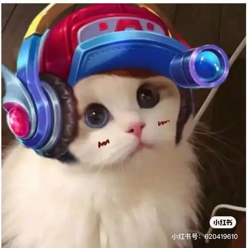 我性别为男