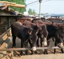 黄页88高清图片