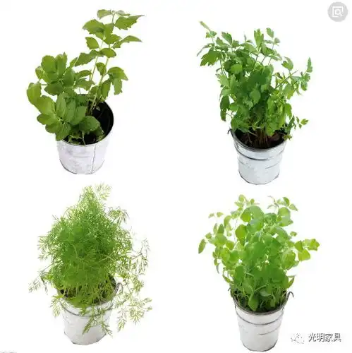 早春家具的好色之道,还你生活一抹早春的生机