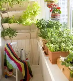 绿植家居装修diy早春新绿俏皮点缀
