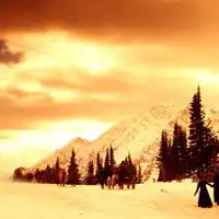 好美景色的qq头像带点下雪效果