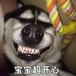 搞笑表情包带文字