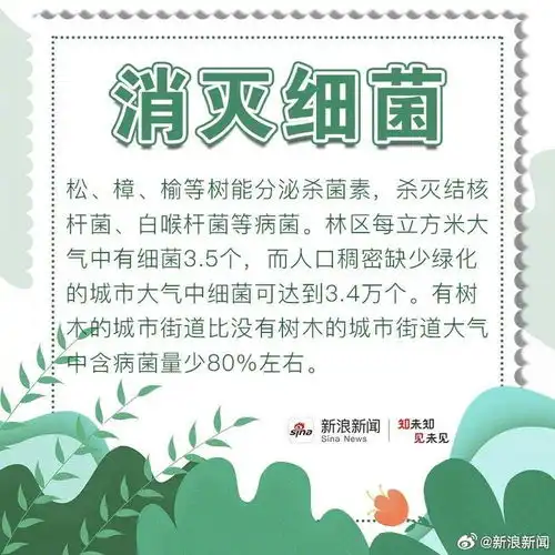 每颗大树都曾只是一粒种子