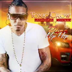 saltetoxiccrow高音质在线试听salte歌词歌曲下载酷狗音乐