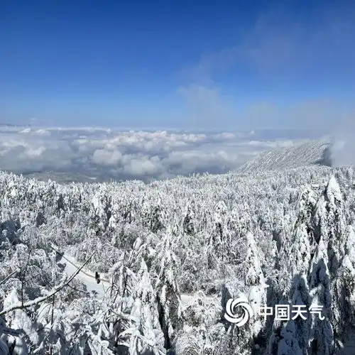 四川峨眉山银装素裹云雾缭绕美成仙境