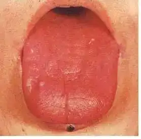 测试一个超长简介的文章