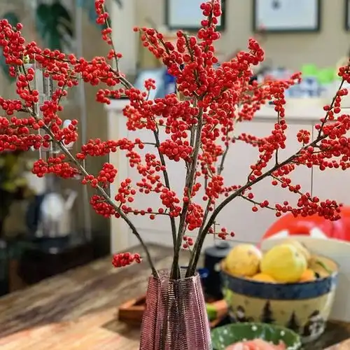 现在入手刚刚好,几款年宵花,春节摆家里,运气一直旺