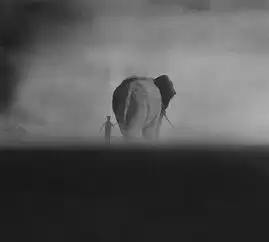 摄影