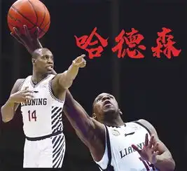 传奇外援哈德森扎根辽篮五年率队圆梦