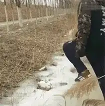 什么东西卖真的犯法,卖假的不犯法哈哈哈,评论真内涵啊