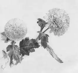 素描大师日本三泽宽志素描欣赏