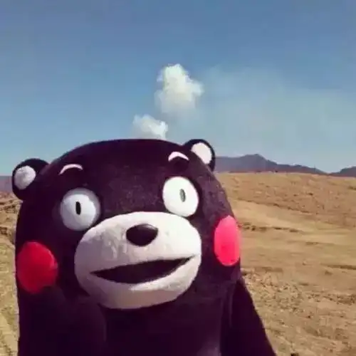 人间自有真情在石狮被这两名羽绒服女子刷屏了她们真的很美