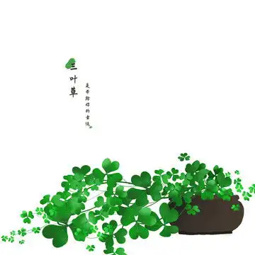 立夏水坛荷花盛开荷叶插花素材