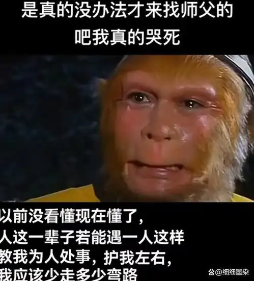 长大后才明白,菩提老祖才是孙悟空唯一的师父