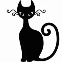 黑猫眼睛微信头像微信头像图片大全