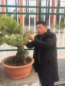 上海植物园