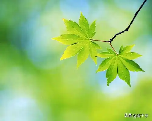 年后复盘在家宅了个年,我得出,吃垃圾食品养心的真理