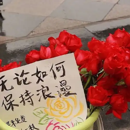 越来越喜欢有趣和温柔的人了温柔真的很迷堆糖,美图壁纸兴趣社区