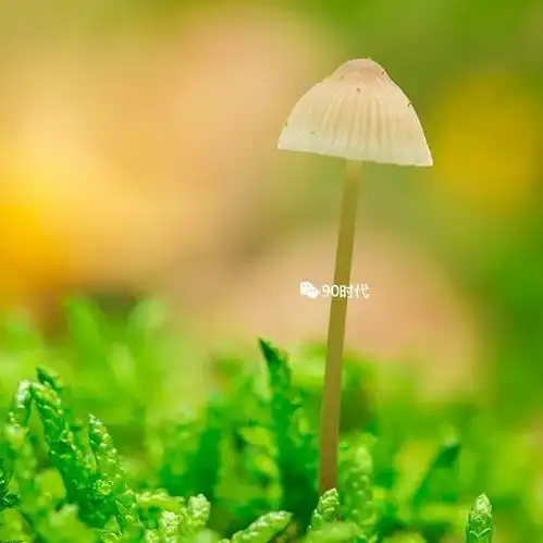 下午好头像丨微信头像吉利又好看风景图片