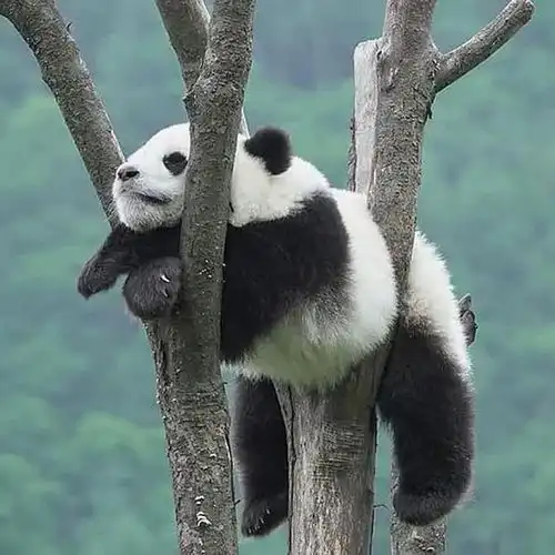 找个需要的微信头像,换上吧