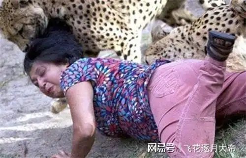 75年,赤手空拳打死一只金钱豹的神农架女英雄陈传香,结局如何