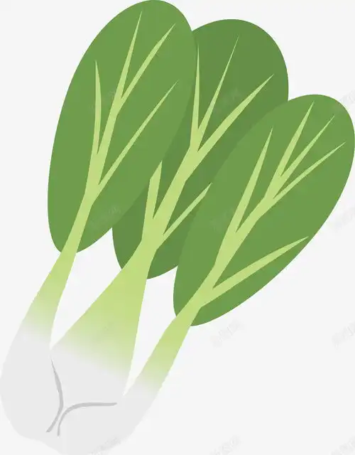 卡通手绘蔬菜装饰海报白菜免抠png设计图片免费下载页面网页平面电商创意素材蔬菜卡通素材
