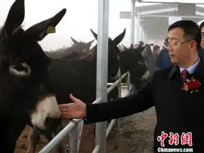 中国驴交易所东阿上线驴产业进大数据时代