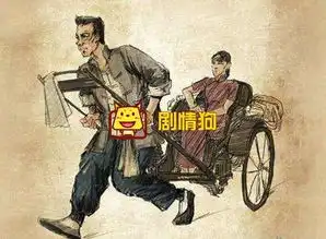 橘子梗破解方法用老舍骆驼祥子破解橘子梗
