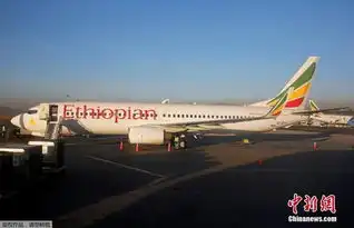 埃塞俄比亚航空载157人失事客机无人生还机上有8名中国乘客