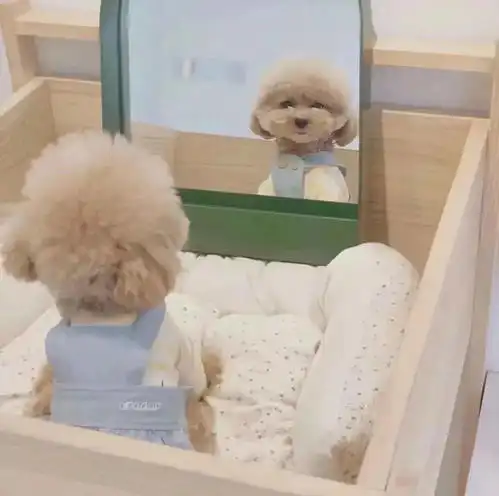 背景图你永远是我的极限浪漫