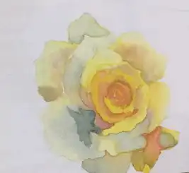 活动报名︱零基础也能画水彩,你只能为黄有维老师疯狂打call了