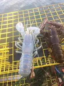 汉语词语曾曰过,好心有好报丨每日午间报