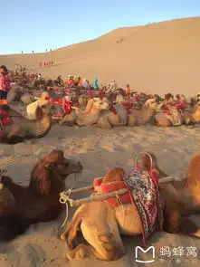 六儿看世界2015暑期9天大漠西北亲子自由行