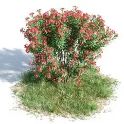 现代花草绿植盆栽3d模型