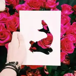 一个剪影,揽尽自然的春华秋实