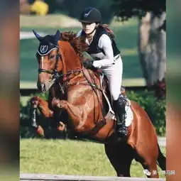 亮点满满58位骑手闪耀登场2017广东省马术俱乐部联赛香港赛马会杯广州总决赛