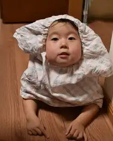照片
