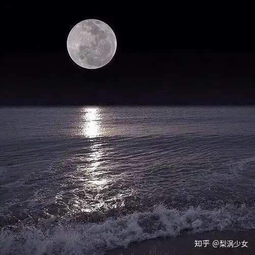 有没有好看大方的壁纸
